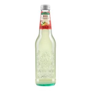 Galvanina Ginger Beer Bio 0,355 L